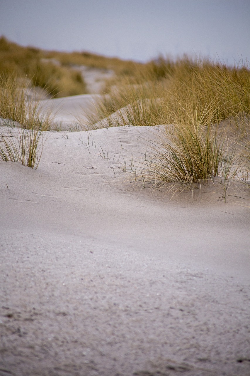 Kleding bedrukken Den Haag duinen